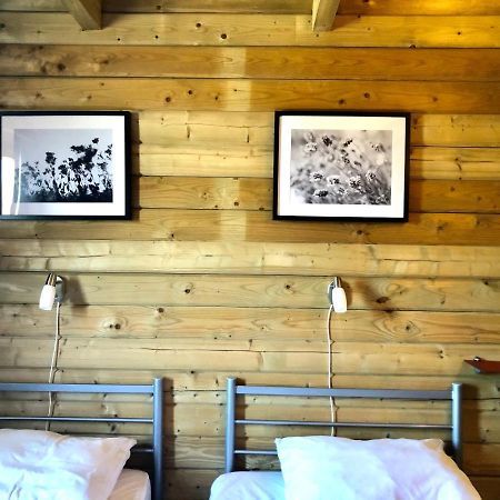 6 Persoons Vakantiehuis Met Sauna, Dichtbij Zee Sint Annaland Zewnętrze zdjęcie